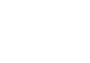 Wells Fargo First Clearing